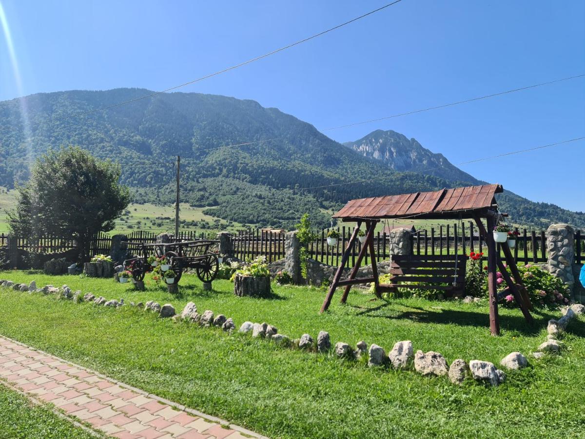 Maricom Home Zarnesti Exterior foto